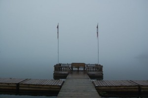 dockfog